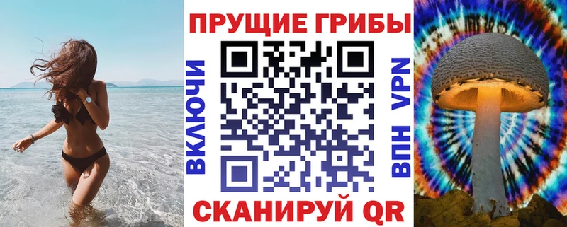 Галлюциногенные грибы Psilocybe  Купить  Пошехонье 